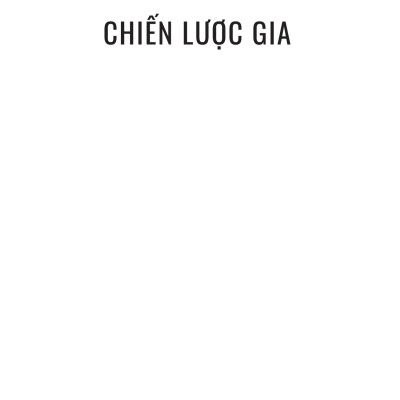 The Strategist - Chiến Lược Gia - Để Tư Duy Chiến Lược Không Chỉ Nằm Trên Trang Giấy - AL