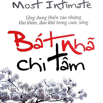 Bát Nhã Chi Tâm - Ứng Dụng Thiền Vào Những Khó Khăn, Đau Khổ Trong Cuộc Sống