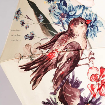 Ô Dù cao cấp Nhãn hiệu Macsim RST Mã R-393