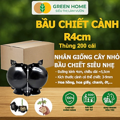Bầu Chiết Cành GreenHome, R4cm(1 Thùng 200 CÁI), Tăng Khả Năng Ra Rễ, Phù Hợp Với Hoa Hồng, Bonsai