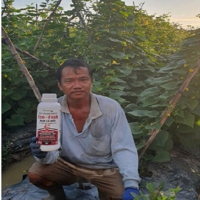 Ecofish Đạm cá thủy phân, chuyên dùng cho cây ăn trái phát triển bộ RỄ. Chai 1 Lít