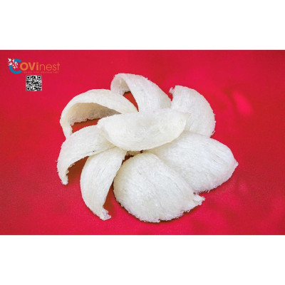 Yến rút lông nguyên tổ Classy - Yến sào Covinest Phan Thiết OCOP