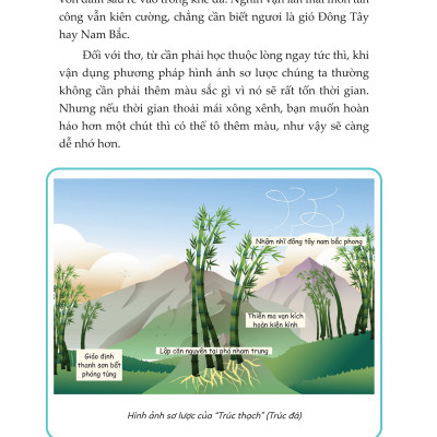 Phương Pháp Luyện Não Siêu Trí Nhớ - Từ nhà vô địch giải đấu trí nhớ thế giới