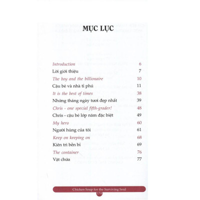 Chicken Soup For The Surviving Soul 18 - Vượt Lên Nghịch Cảnh - Bản Quyền