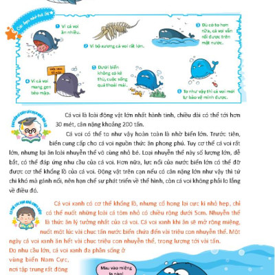 10 Vạn Câu Hỏi Vì Sao Dành Cho Thiếu Nhi