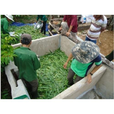 REBIO- MULTI 6 - 1kg Chuyên ủ thức ăn thô xanh cho động vật ăn cỏ