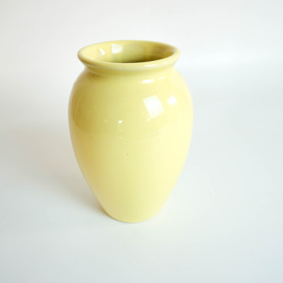 Bình Hoa Tuyết Mai