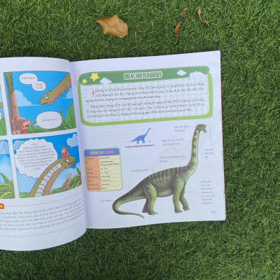 Sách: Combo Bách Khoa Động Vật Dành Cho Trẻ Nhỏ (Trọn bộ 4 Cuốn)