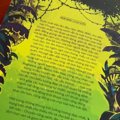 CHUYỆN RỪNG XANH (Bìa mềm)