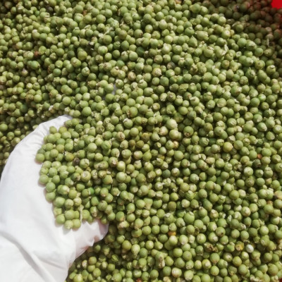 Hạt tiêu xanh sấy thăng hoa