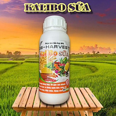 Phân bón NPK Kali Bo Sữa chai 500ml - Trỗ thoát đòng loạt, Vô gạo cực nhanh, Tăng số hạt, Lá đòng xanh bền, Cứng cây, Hạt lúa sáng