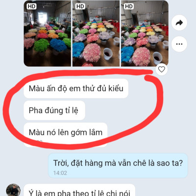 Thuốc Bột Nhuộm Hoa Tươi  màu thực phẩm Ấn Độ (Combo 3 hộp tùy màu) giúp đổi màu hoa cắt cành (1 hủ pha 12L nước màu)