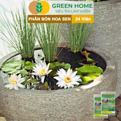 5 Vỉ Phân Bón Hoa Sen GreenHome, Vỉ 24 Viên, Cây Thuỷ Sinh, Ngập Nước, Cho Hoa To, Đậm Màu, Lâu Tàn
