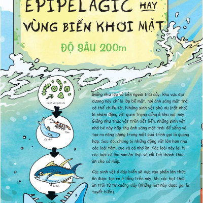 Siêu Nhí Khám Phá Đại Dương