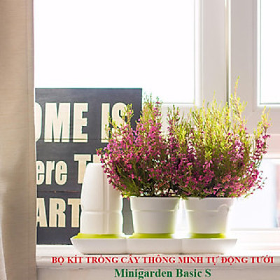 Chậu Cây Tự Dưỡng Thông Minh nhập khẩu Bồ Đào Nha giúp cây trồng tự động tưới, tự bón phân và dành cho người bận rộn nhưng yêu thiên nhiên