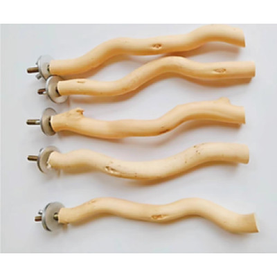 1 CÂY ĐẬU (GỖ LŨA) DÙNG CHO CHIM, VẸT ĐẬU (RẤT CỨNG CÁP