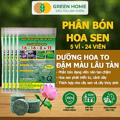 5 Vỉ Phân Bón Hoa Sen GreenHome, Vỉ 24 Viên, Cây Thuỷ Sinh, Ngập Nước, Cho Hoa To, Đậm Màu, Lâu Tàn