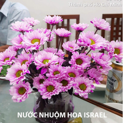 Nước Màu Nhuộm Hoa Tươi Màu Cam Israel (Chai 1 Lít) Color Sodium For Fresh Flowers