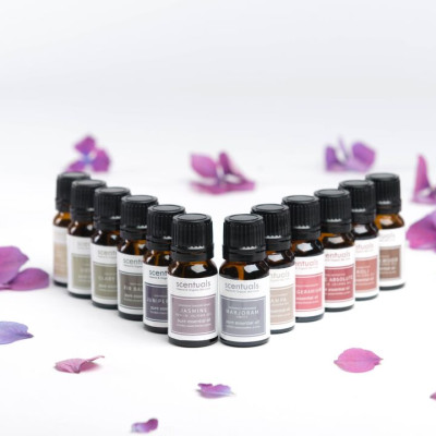 Tinh Dầu Gỗ Đàn Hương 10% Jojoba 10ml