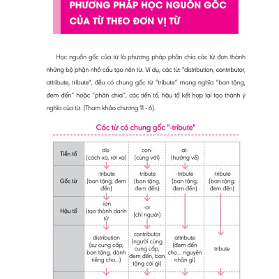 Nghiền Từ Vựng Tiếng Anh - Học Qua Gốc Từ Bằng Hình Ảnh (Quyển 2)