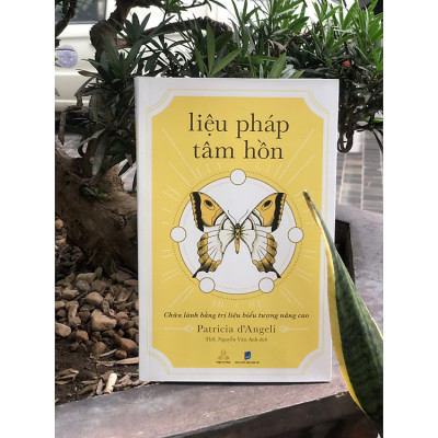 Liệu Pháp Tâm Hồn - Chữa Lành Bằng Trị Liệu Biểu Tượng Nâng Cao (Patricia d’Angeli)
