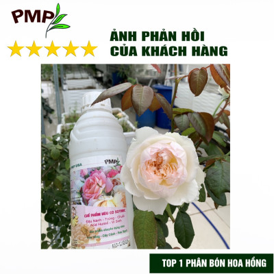 Phân Bón Hoa Hồng SOYMIC PMP Siêu Phân Bón Ủ Vi Sinh Từ Đậu Nành, Trứng, Chuối, Humic, Vi Lượng 1000ml