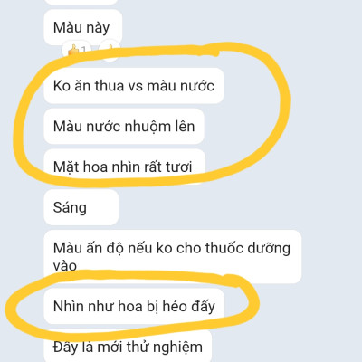 Thuốc Bột Nhuộm Hoa Tươi  màu thực phẩm Ấn Độ (Combo 3 hộp tùy màu) giúp đổi màu hoa cắt cành (1 hủ pha 12L nước màu)