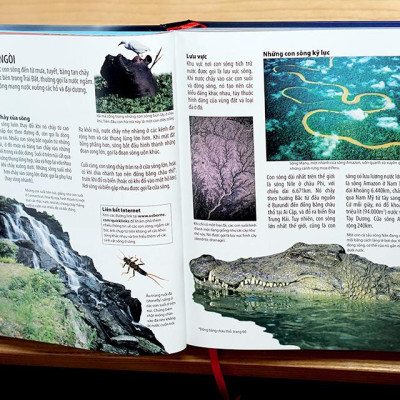 Sách Thiếu Thi Kiến thức Bách Khoa - Bách Khoa Toàn Thư Về Địa Lý - Geography Encyclopedia (Bìa cứng)