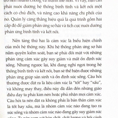 Biến Căng Thẳng Thành Sức Mạnh - Vanlangbooks