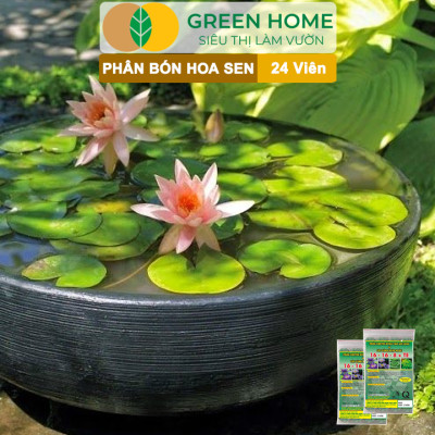 5 Vỉ Phân Bón Hoa Sen GreenHome, Vỉ 24 Viên, Cây Thuỷ Sinh, Ngập Nước, Cho Hoa To, Đậm Màu, Lâu Tàn