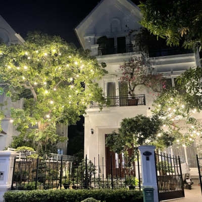 COMBO 3 Bóng đèn LED bulb tròn LEDGOES 3W