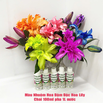 Thuốc Nước Nhuộm Hoa Lily  (chai đậm đặc 100ml pha 1L nước màu hoàn chỉnh) công nghệ Israel nhuộm hoa lily cánh mỏng mà không bị cháy lá hoa