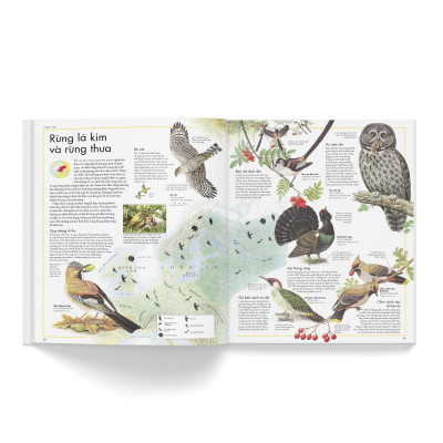 Atlas Các Loài Chim - Bách Khoa Bằng Hình Về Các Loài Chim Trên Thế Giới