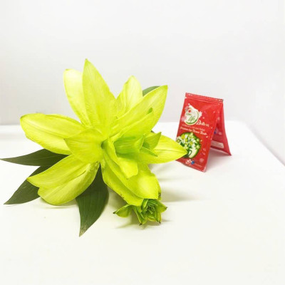 Thuốc Nước Nhuộm Hoa Lily  (chai đậm đặc 100ml pha 1L nước màu hoàn chỉnh) công nghệ Israel nhuộm hoa lily cánh mỏng mà không bị cháy lá hoa