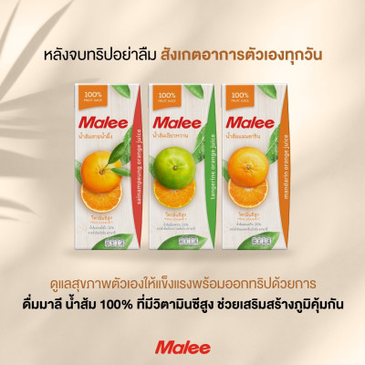 COMBO 3 Hộp Nước Ép Quýt Malee 200ml | Malee 100% Mandarine Orange Juice 200ml