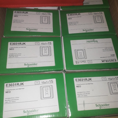 Ổ điện thoại/internet E3031RJK GS  Bạc Schneider | Chính hãng |