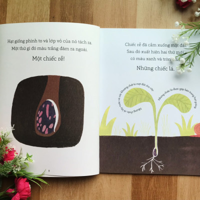 Sách - Câu Chuyện Khoa Học (Bộ 4 quyển)