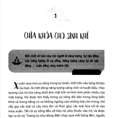 Dòng Năng Lượng Sinh Khí