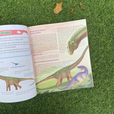 Sách: Combo Bách Khoa Động Vật Dành Cho Trẻ Nhỏ (Trọn bộ 4 Cuốn)