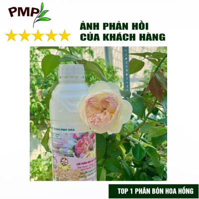 Phân Bón Hoa Hồng SOYMIC PMP Siêu Phân Bón Ủ Vi Sinh Từ Đậu Nành, Trứng, Chuối, Humic, Vi Lượng 1000ml