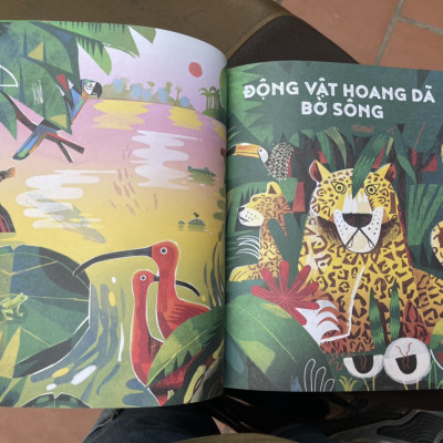 (Sách tranh minh hoạ màu) THÁM HIỂM AMAZON – Sangma Francis - Như Yến dịch – Nhà xuất bản Kim Đồng (sách mới 2022) (bìa mềm)