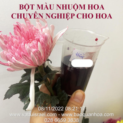 Thuốc Bột Nhuộm Hoa Tươi  màu thực phẩm Ấn Độ (Combo 3 hộp tùy màu) giúp đổi màu hoa cắt cành (1 hủ pha 12L nước màu)