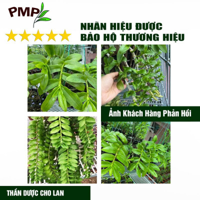 Siêu Phân Bón Hữu Cơ Vi Sinh - Cho Hoa Lan, Cây Cảnh, Bon Sai - Probio PMP - Viên Nén 1,5Kg