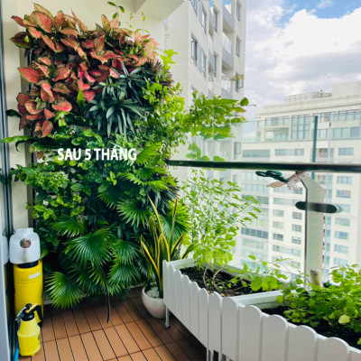 Khung Vườn Đứng Cây Ban Công (Bộ 8 tầng Module Vertical + 1 Tray nước nhập khẩu Bồ Đào Nha (không kèm tưới) dùng trồng cây xanh treo tường dạng đứng