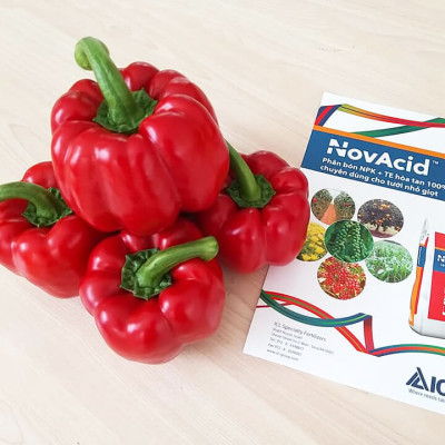  Phân bón hòa tan Isarel 13-40-13+Te không bị lắng cặn trong nước dùng qua hệ thống tưới nhỏ giọt hay tưới phun sương giúp xử lý ra hoa đồng loạt, kích thích ra hoa cho cây