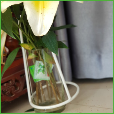  (COMBO 30 GÓI) GÓI DƯỠNG HOA TƯƠI LONGLIFE CỦA ISRAEL GIỮ HOA TƯƠI LÂU GẤP 2 LẦN VÀ 14 NGÀY KHÔNG THAY NƯỚC MỚI