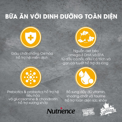 Thức Ăn Cho Chó Có Kích Thước Trung Bình, Lớn Nutrience lnfusion Bao 10kg - Thịt Gà Tây, Rau Củ & Trái Cây Tự Nhiên