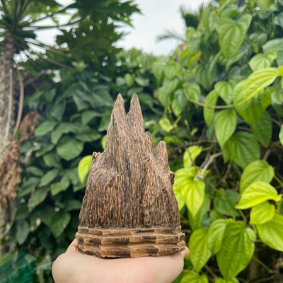 Trầm cảnh mini gỗ trầm hương tốc tự nhiên đặt bàn làm việc, taplo xe ô tô