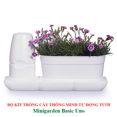 Chậu Trồng Cây Thông Minh Tự Động Tưới Basic Uno, làm bằng chất liệu nhựa PP Chống UV giúp cây phát triển tốt ngay cả trong môi trường nắng nóng, nhập khẩu Châu Âu