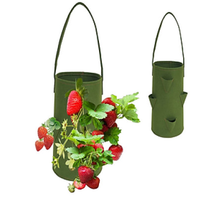 Túi Trồng Cây Bằng Vải 10 Gallon – Trồng Dâu, Cà Chua, Hoa, Rau Sạch – Có Quai, Dễ Di Chuyển